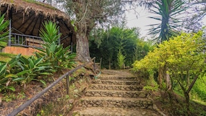 Una escalera de piedra conduce a una construcción con techo de paja rodeada de abundante vegetación.