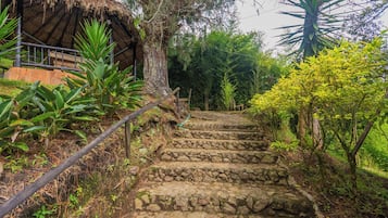 2 piscinas al aire libre