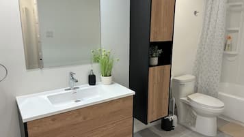 Secadora de cabello, toallas, jabón, papel de baño