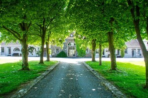 A pathway leading to a building with a clock tower, surrounded by trees and a well-maintained lawn.