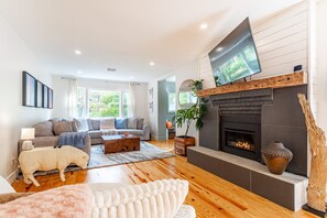 TV, fireplace, books