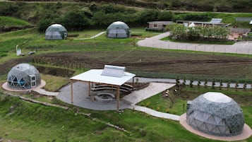 Premium bedding, down comforters, minibar, free WiFi