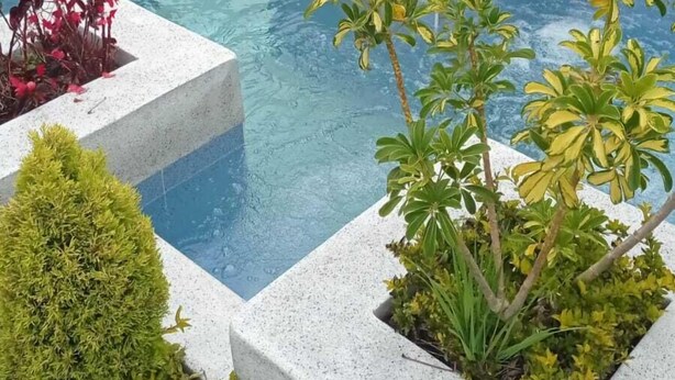 A pool with multiple planters containing various plants.