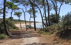 Een onverhard pad dat naar een strand leidt, met een houten omheining en pijnbomen.