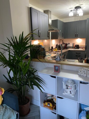 The Cottontail - Standard Private Room With Breakfast - Tamworth