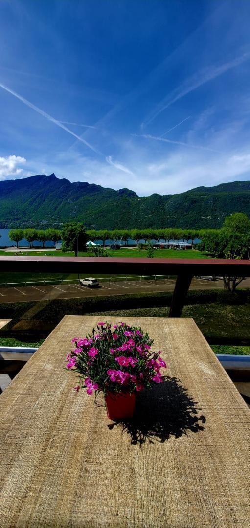 A table with a potted plant and a view of a lake and mountains.