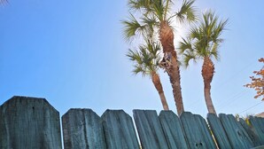 A wooden fence with a colorful license plate attached to it.