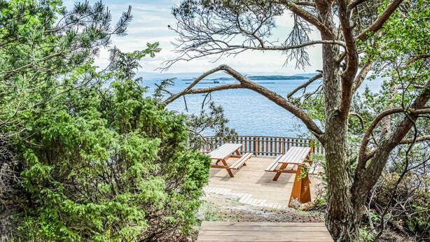 A wooden deck with two lounge chairs overlooking a body of water, surrounded by dense greenery.