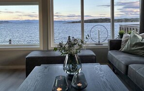 تلفزيون ذكي، مدفأة