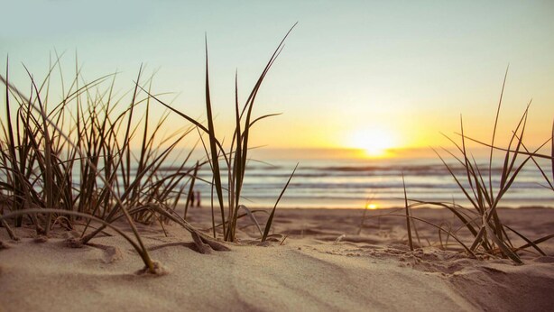Eine Strandansicht mit Sand und Gras im Vordergrund und einem Sonnenuntergang über dem Meer im Hintergrund.