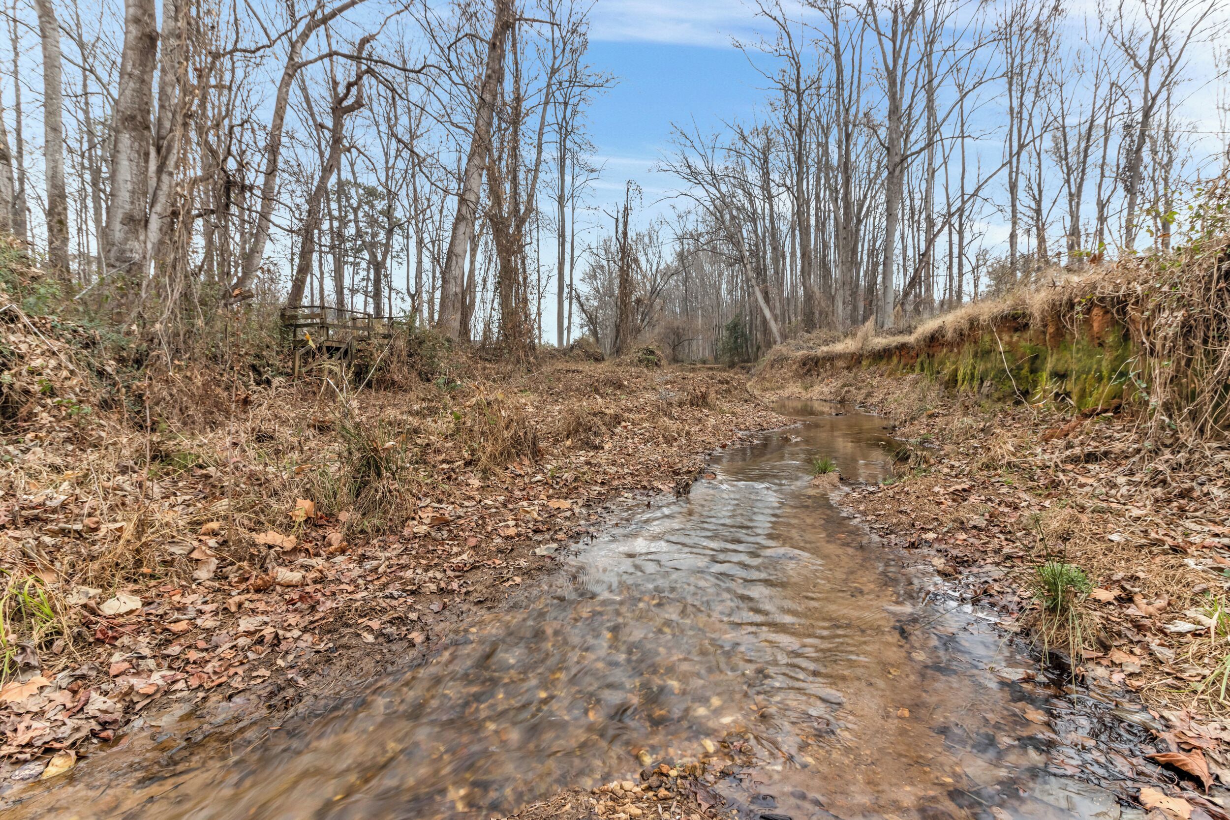 A natural stream surrounded by leaf-covered ground and bare trees.