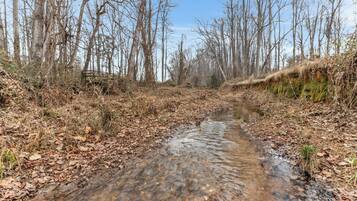 A natural stream surrounded by leaf-covered ground and bare trees.