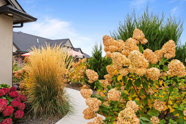 Àrea exterior de l'allotjament