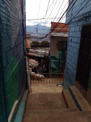 A narrow alleyway with a staircase leading to a building with a metal gate.