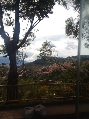 Vista da propriedade
