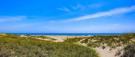 Une plage avec des dunes et un ciel dégagé.