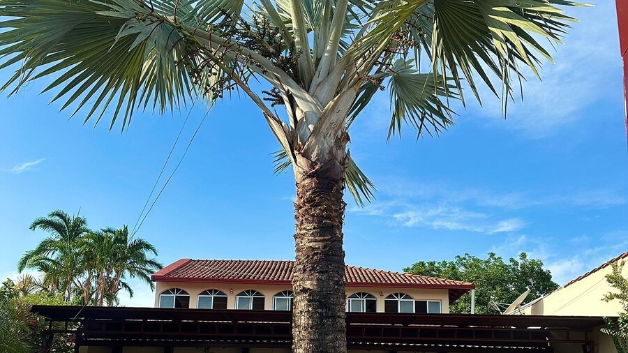 Hotel império