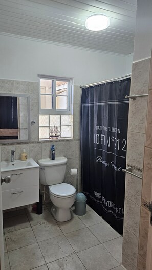 Hair dryer, towels, toilet paper - Paradise Nest (Oranjestad)