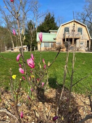 Property grounds - Pet friendly, Cozy escape, 12 minutes from downtown Ellicottville. (Ellicottville)