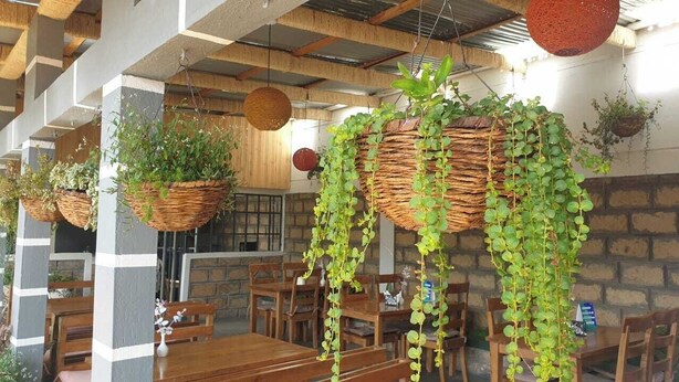 A restaurant with hanging baskets of greenery, wooden tables, and chairs.