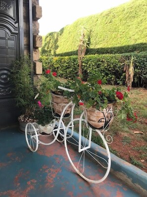 Exterior - The Blubird Guest House Kitale (Kitale)