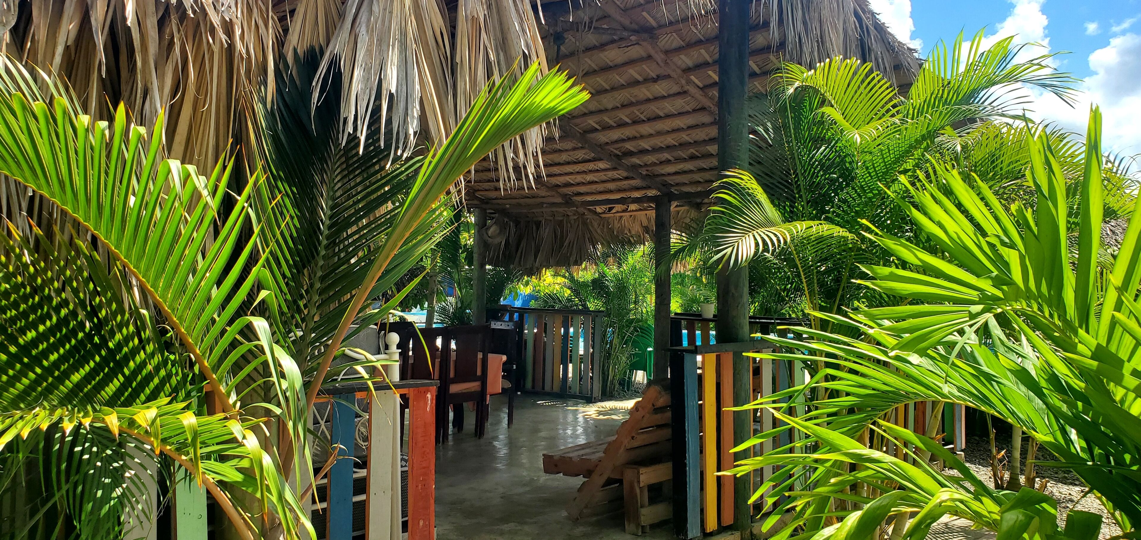 디럭스 더블룸, 정원 전망 | 외관