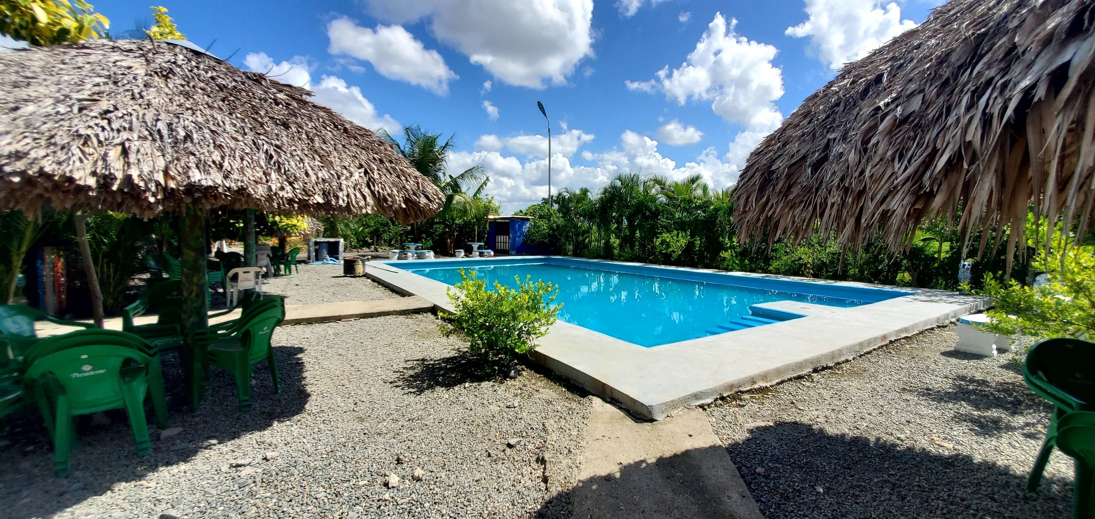 A swimming pool with a thatched roof structure on one side and a concrete deck on the other.