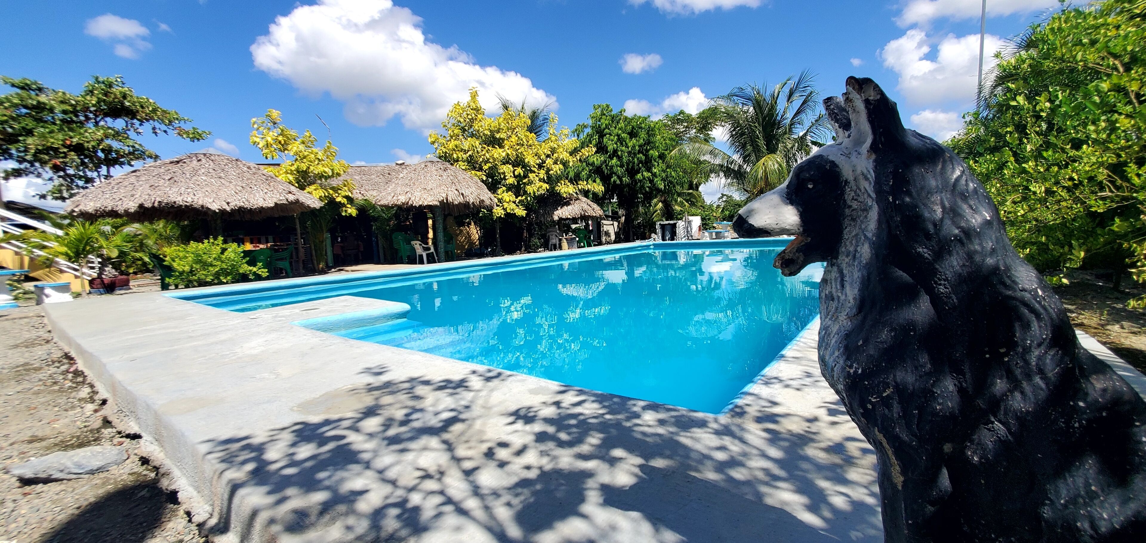 Una piscina con plataforma de hormigón, rodeada de chozas con techo de paja y exuberante vegetación.