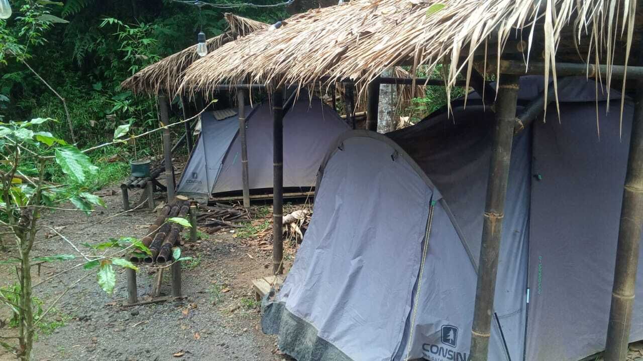 A series of tents with a thatched roof, surrounded by bamboo poles and greenery.