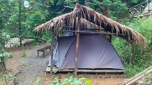 Una carpa con techo de paja, rodeada de vegetación densa.