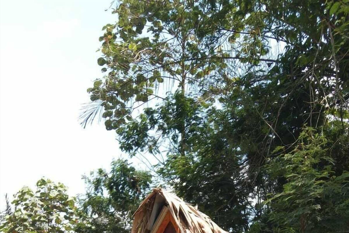 Casa de campo, patio | Wifi gratis