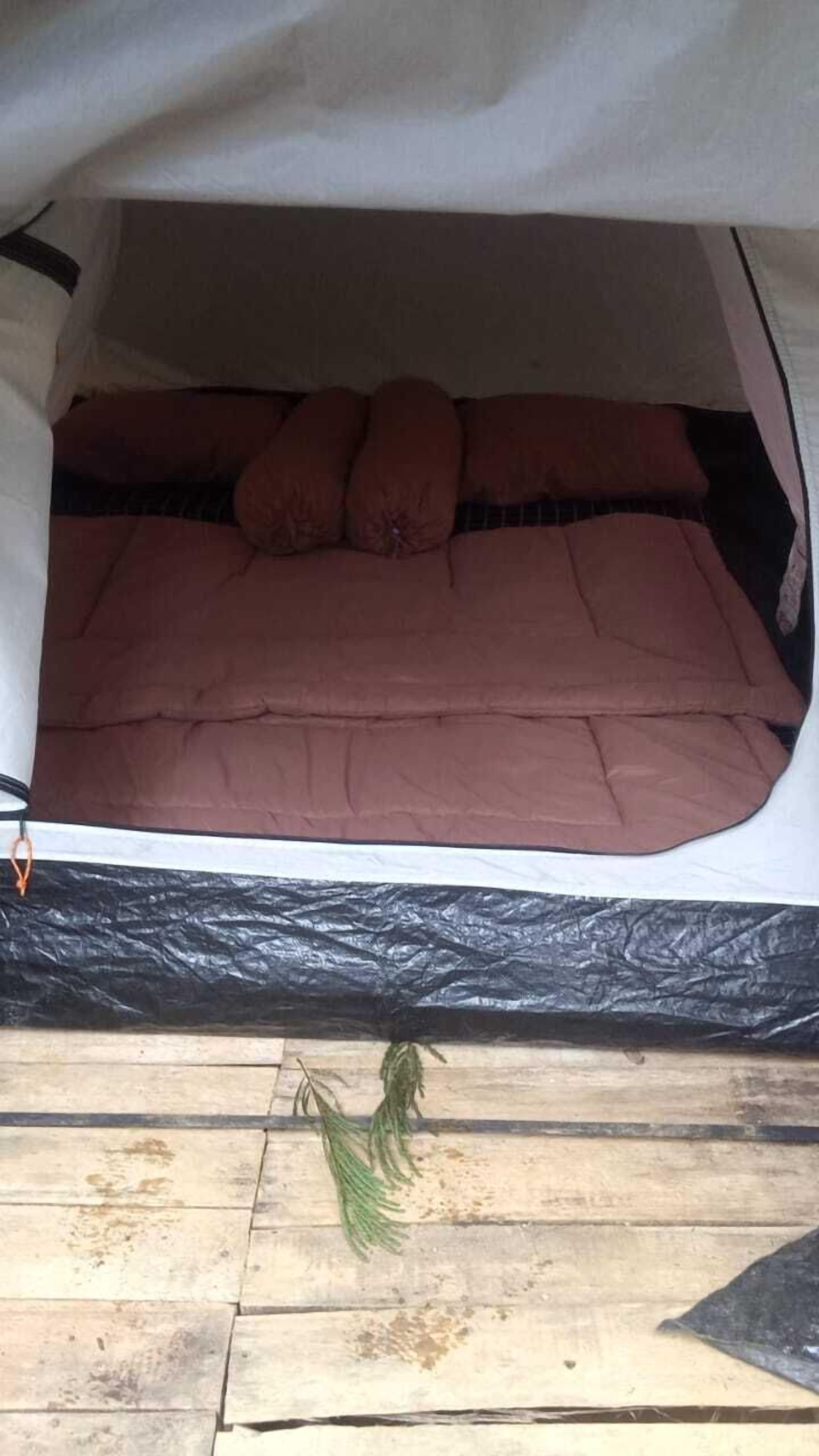 A tent with a bed inside, featuring a brown mattress and pillows.