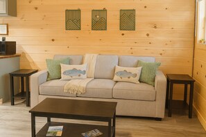 智能电视、壁炉