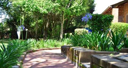 Waikiki Guest House Kiminini