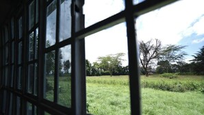 A view through a window with a grid pattern, displaying a grassy field and trees in the background. - Waikiki Guest House Kiminini (Kiminini)