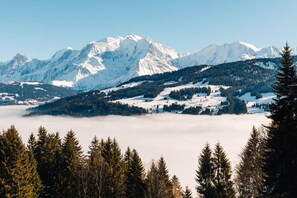 A mountainous landscape with snow-covered peaks, a village in the valley, and a forested foreground.