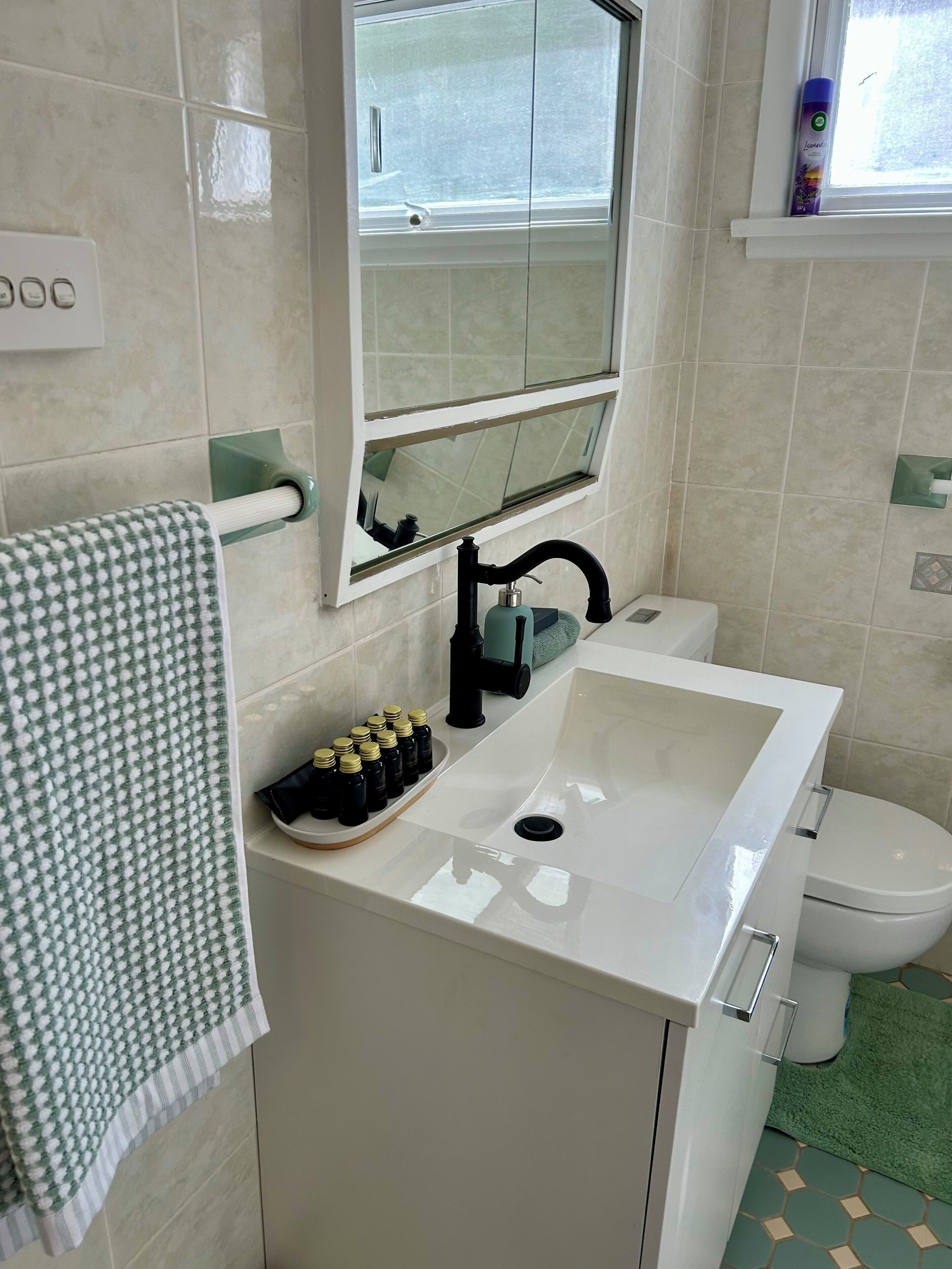 Hair dryer, towels, soap, shampoo
