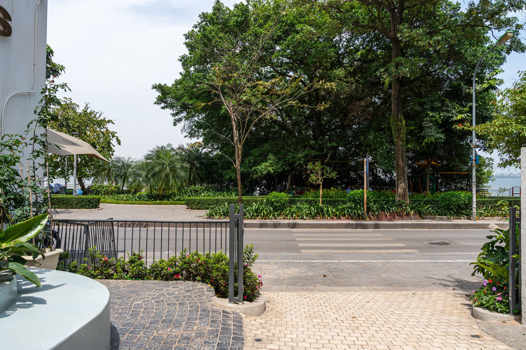 Un sendero pavimentado para peatones que conduce a una carretera, rodeado de abundante vegetación y árboles.