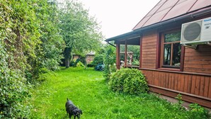 A backyard with a wooden house, a covered patio, and a black dog walking.