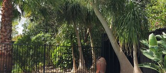 Palm Springs retreat Hunter Valley