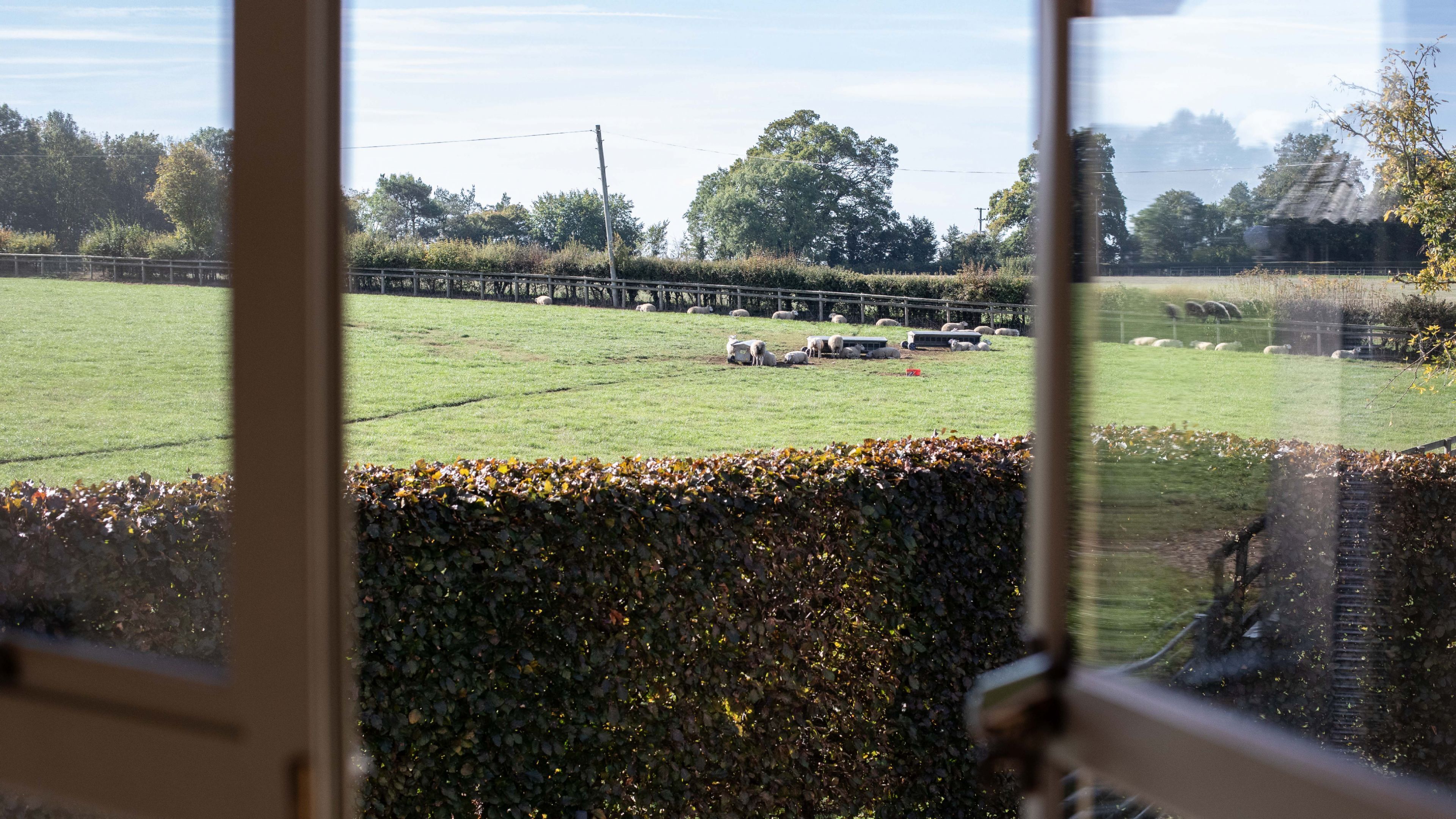 A view through a window of a grassy field with a fence, trees, and a hedge in the foreground.