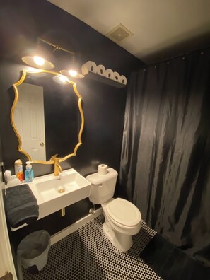 Hair dryer, towels, soap, toilet paper - 3-bedroom house in fabulous Columbia (Columbia)