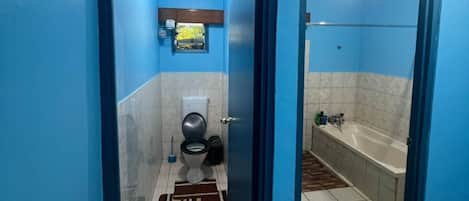 Hair dryer, bidet, towels, soap