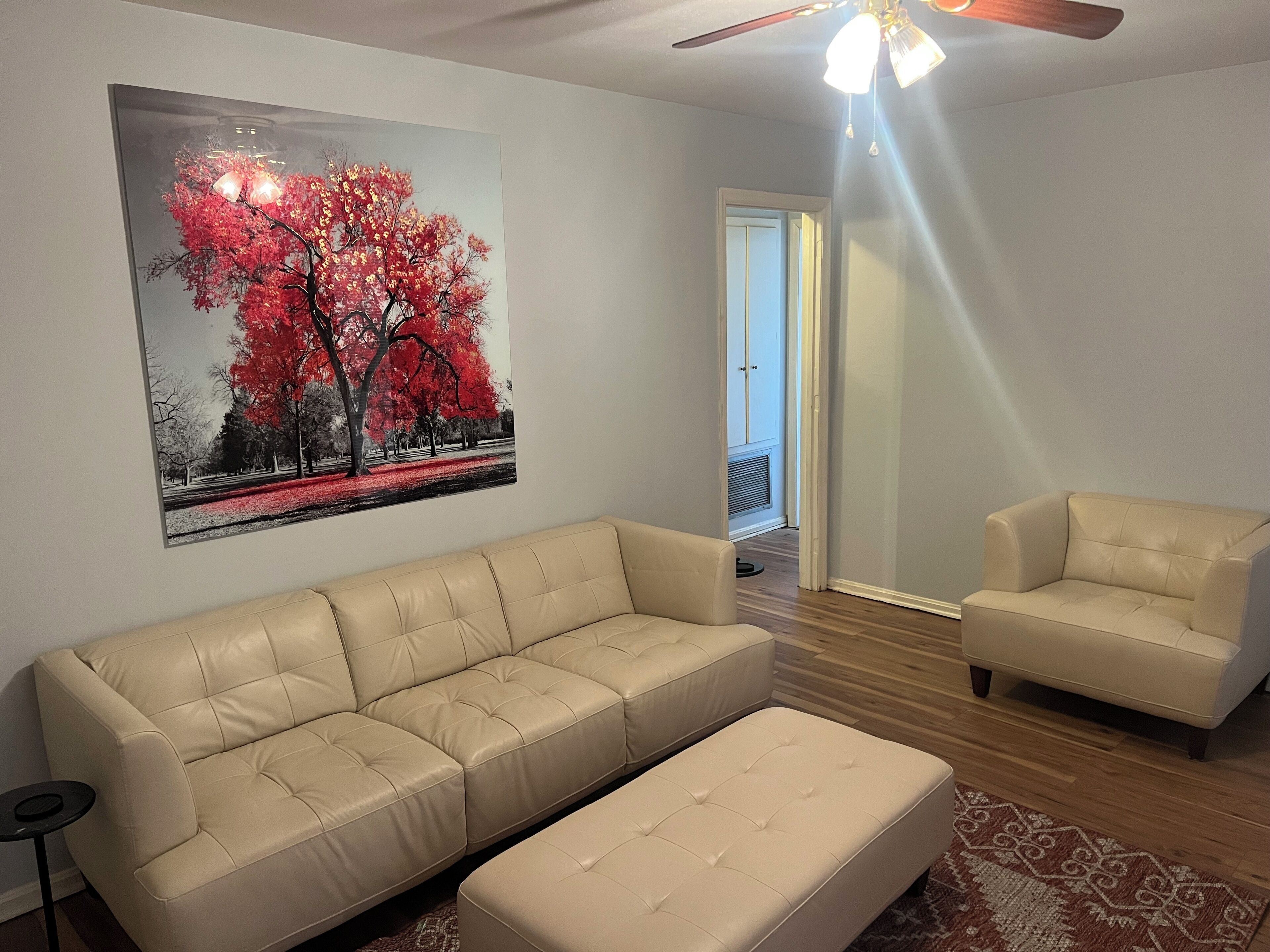 Living room with 50in hdtv