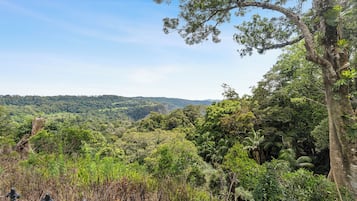 A lush, green landscape with dense vegetation and a clear sky.