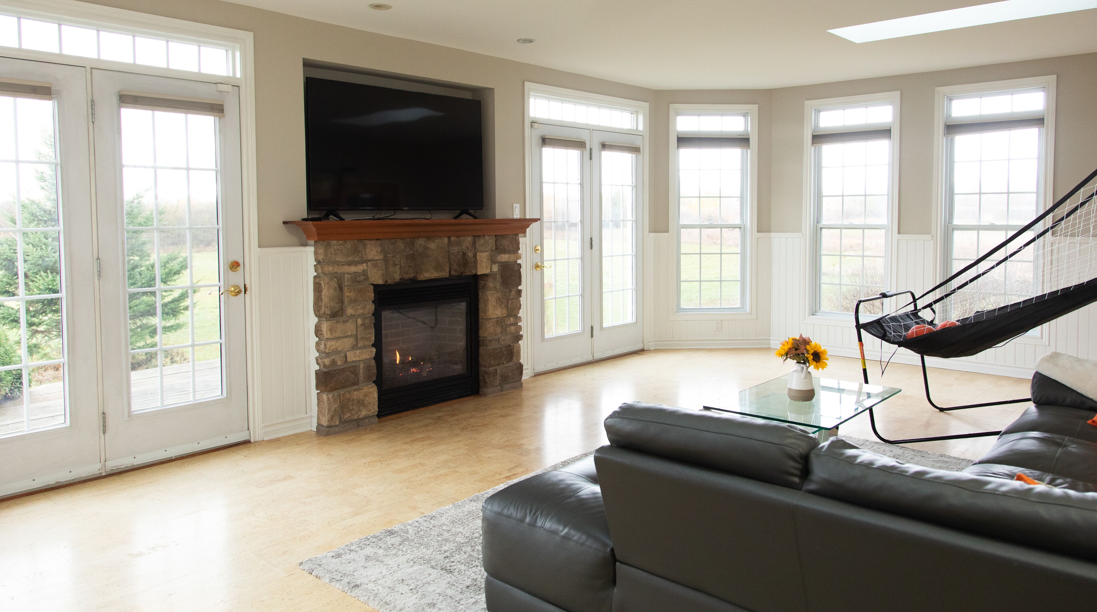 Smart TV, fireplace, books