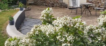 Cosy little nest in a pretty village near LOIRE