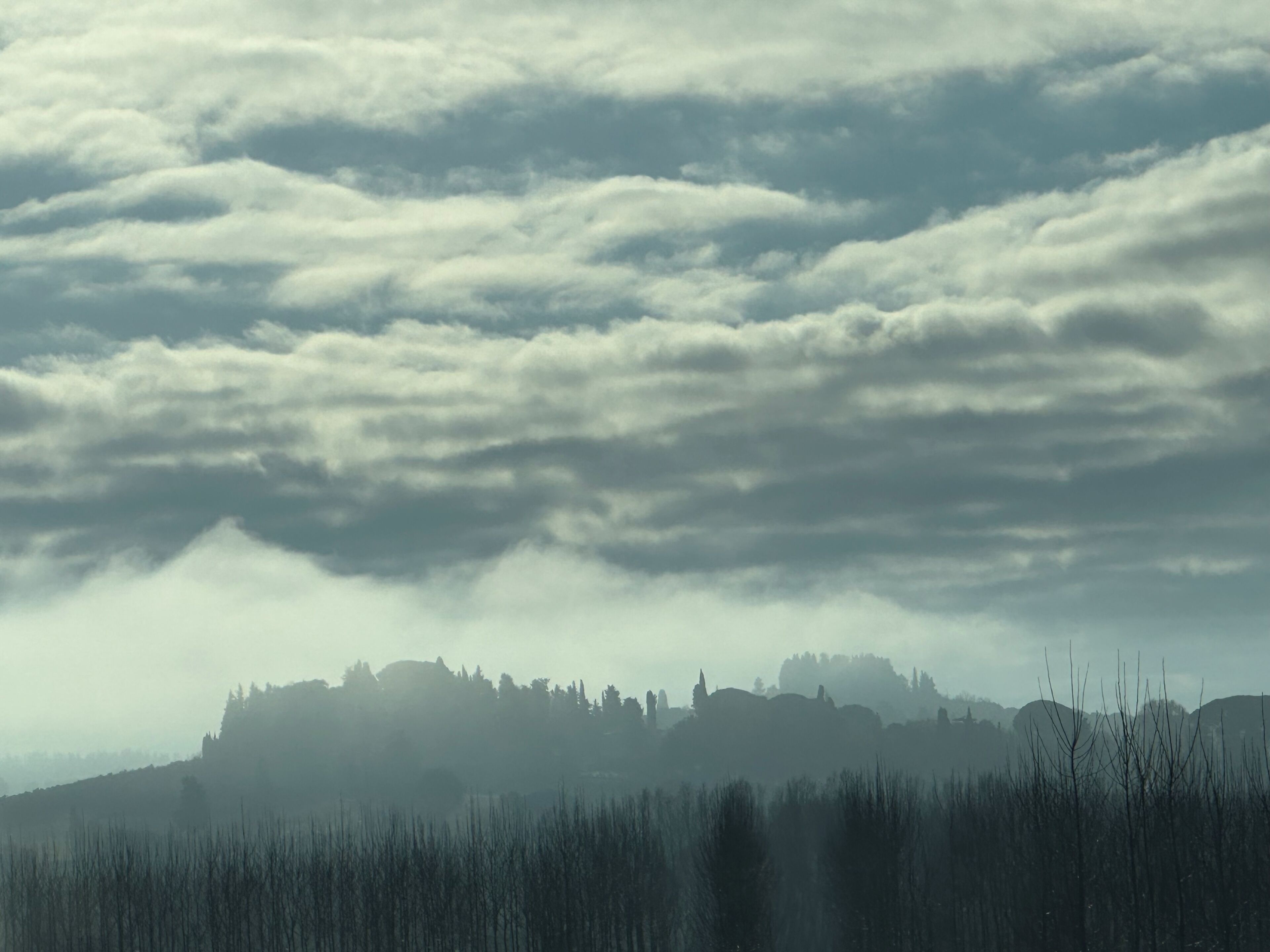 A landscape with a hill and trees.