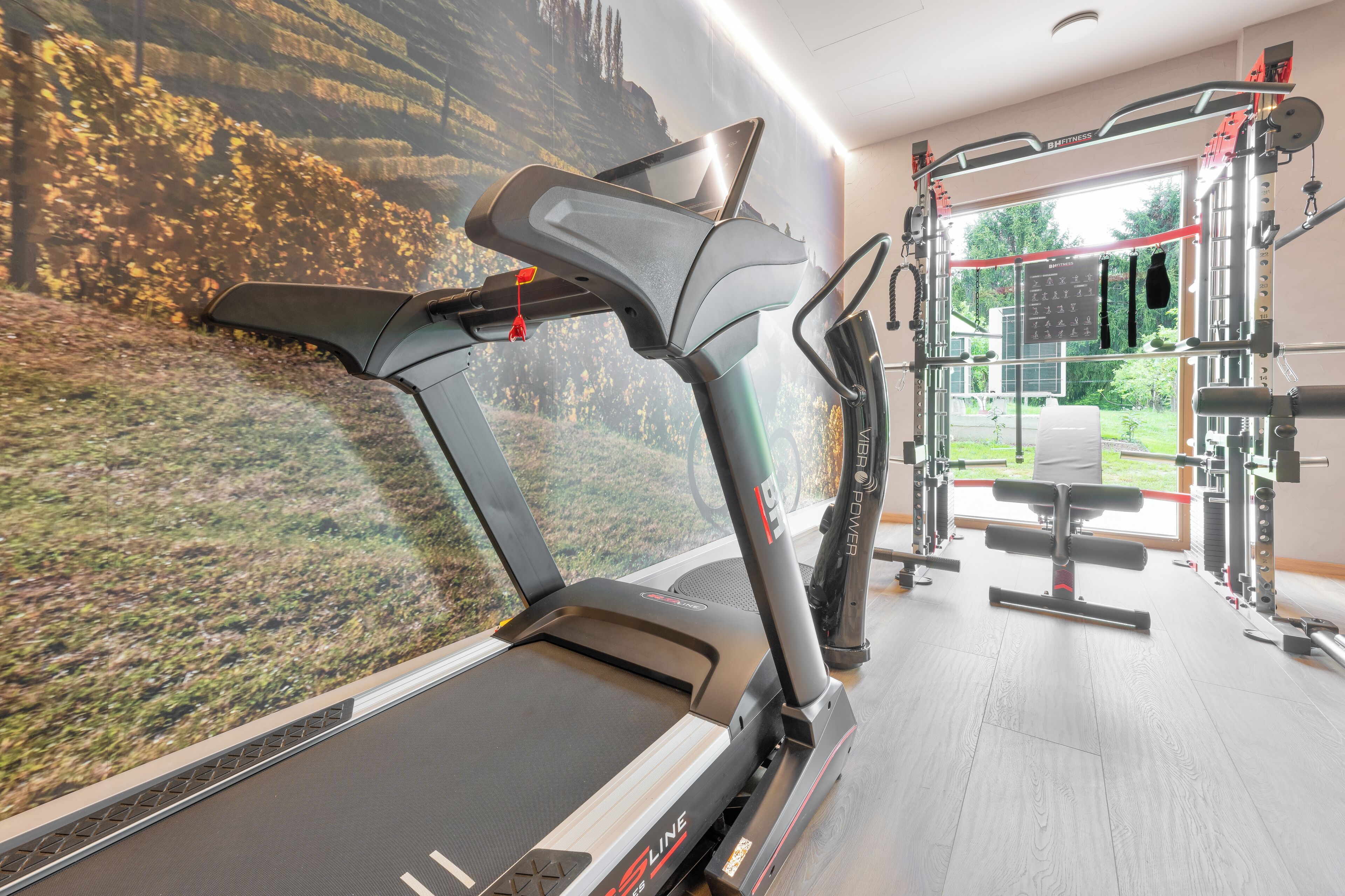 Un gimnasio con cinta de correr, máquinas de pesas y un mural en la pared.