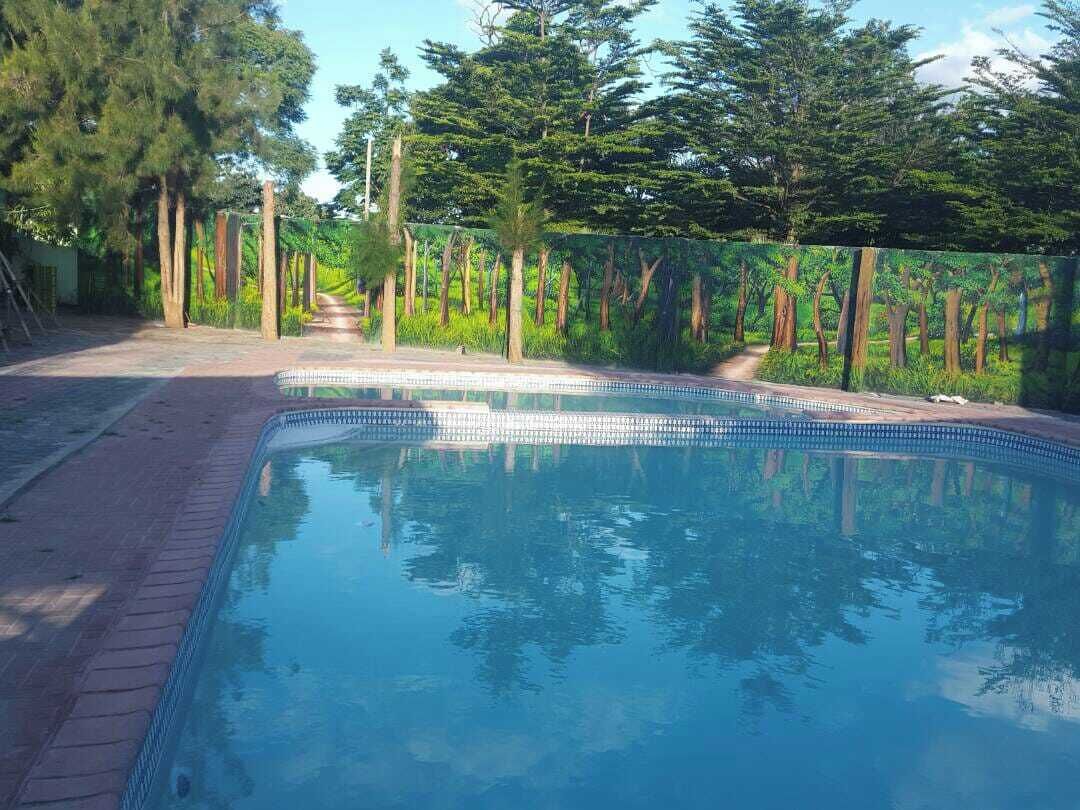 季節限定屋外プール